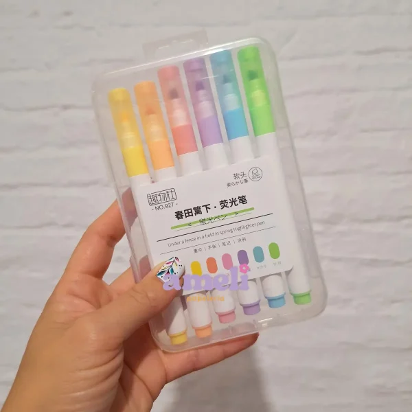 6 resaltadores pastel en estuche plástico