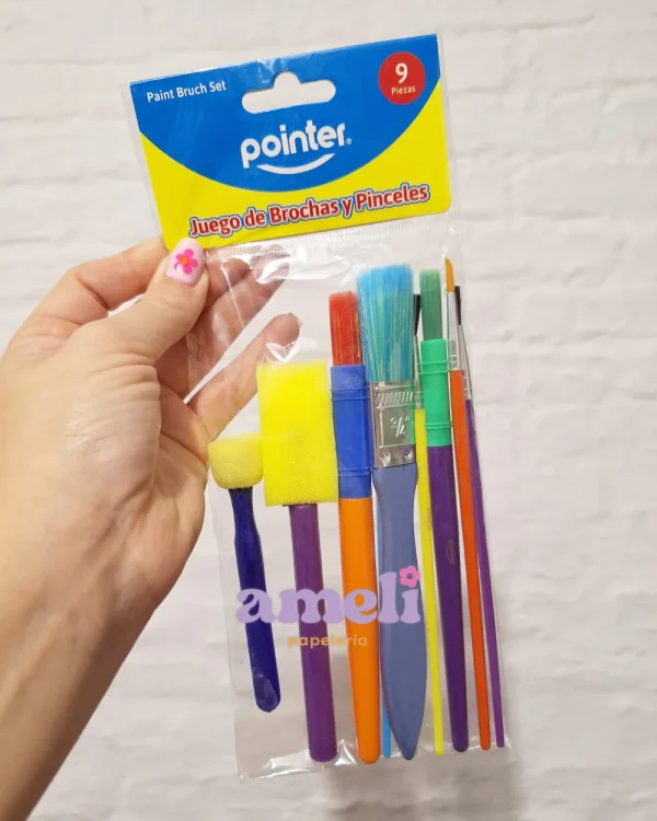 Set de brochas y pinceles Pointer