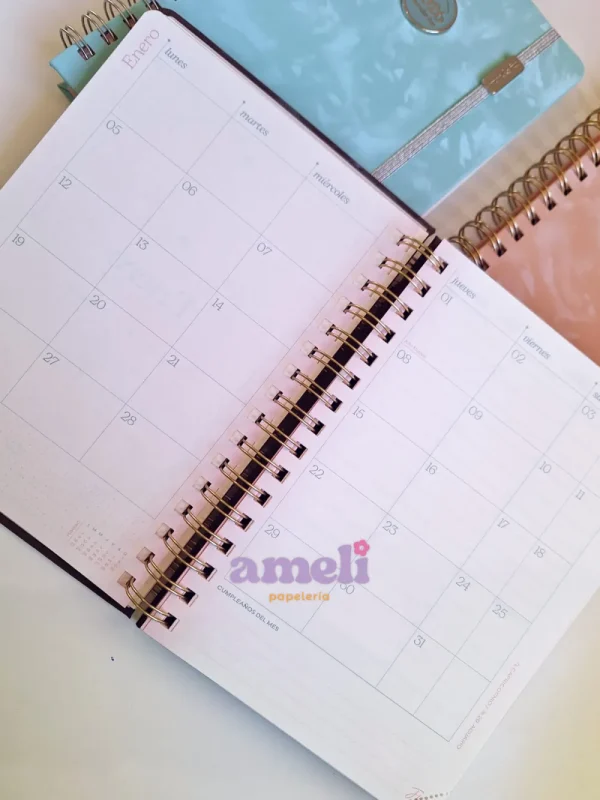 Agenda Mundo Fw 2026 diaria Minimalista - Imagen 8