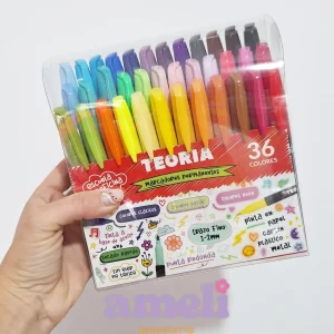 Marcadores permanentes Teoria x36