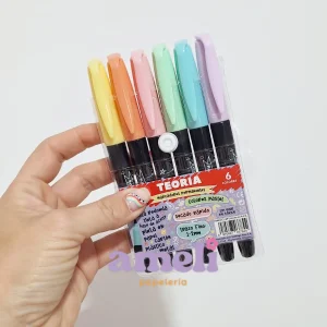 Marcadores permanentes Teoria x 6 pastel