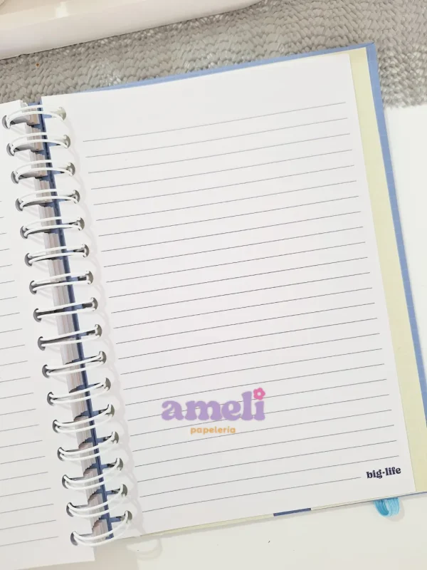 Planner universitario Big Life - Imagen 10