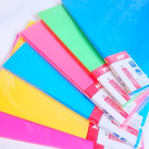 Carpeta con 10 folios