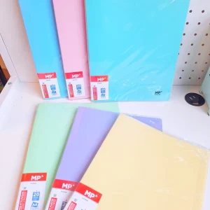 Carpeta pastel 20 folios