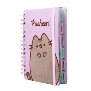 PREVENTA Agenda 2027 Pusheen día por página Mooving